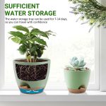 FOUKUS Set of 5 Self-Watering Plant Pots with Drainage – Eco-Friendly Plastic Planters for Indoor & Outdoor Use – Pots for Succulents, Cactus, Snake Plants (7, 6.5, 6, 5.5, 5) – Green - Image 6