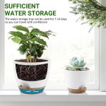 FOUKUS Set of 5 Self-Watering Plant Pots with Drainage – Eco-Friendly Plastic Planters for Indoor & Outdoor Use – Pots for Succulents, Cactus, Snake Plants (7, 6.5, 6, 5.5, 5) – Green - Image 9